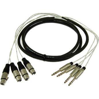 Pro Co Sound MT4BQXF-10 Multitrack Analog Studio Harness Cable