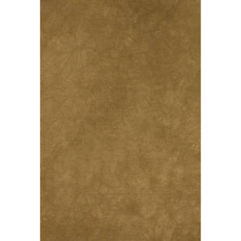 Backdrop Alley Dusty Gold Crush and Tie-Dye Muslin Background (10 x 12')