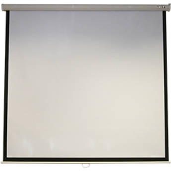 Acer M87-S01MW Manual Projection Screen (69 x 69")
