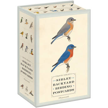 Sibley Guides Backyard Birding Postcards (100 Cards)