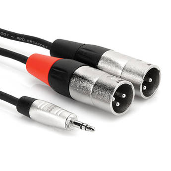 Hosa Technology Pro Stereo Breakout Cable - 3.5mm Stereo Mini to Dual 3-Pin XLR Male (6')
