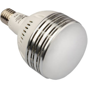 Raya 60W LED Daylight Studio Bulb