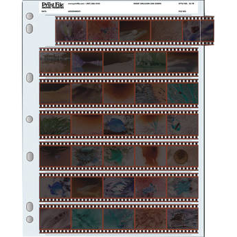 Printfile 810-2P Print Preservers 100 Sheets 