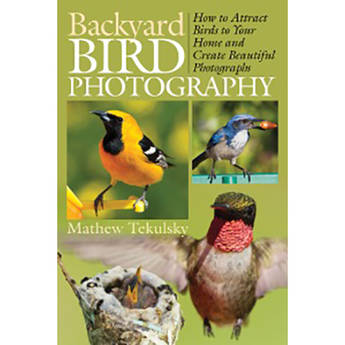 Allworth Backyard Bird Photography by Mathew Tekulsky (Paperback)
