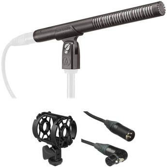 Countryman B2DP4FF05LHWF B2D Directional Lavalier Microphone with Standard Gain Sensitivity Light Beige 