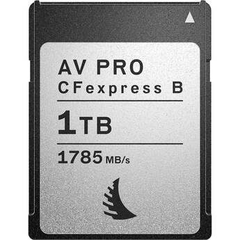 Angelbird AV Pro SE AVP1T0CFXBSE Replacement for Angelbird AV Pro