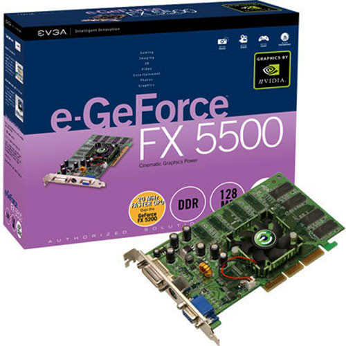 EVGA e-GeForce FX 5500 AGP Display Card 