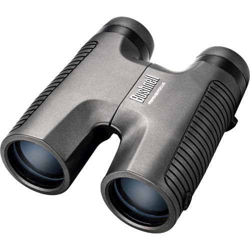 bushnell 10x32