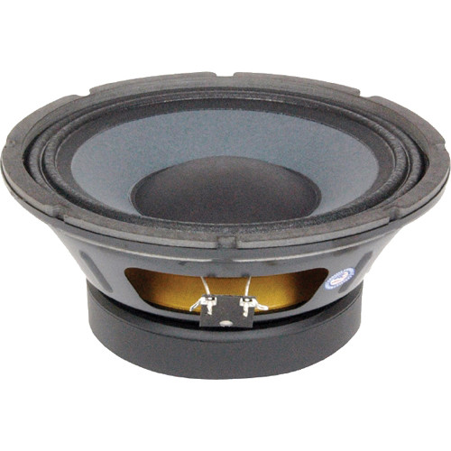 10 in woofer