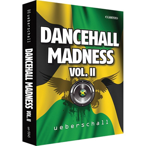 Big Fish Audio Dvd Dancehall Madness Volume 2 Dhma2 Pw B H