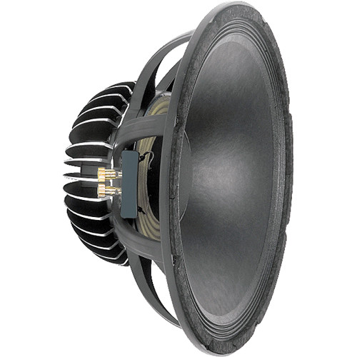black widow 10 inch speaker