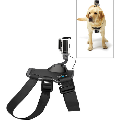 Gopro Fetch Harness 2025