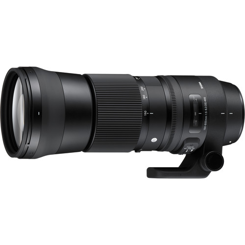 sigma 150-600mm Canon