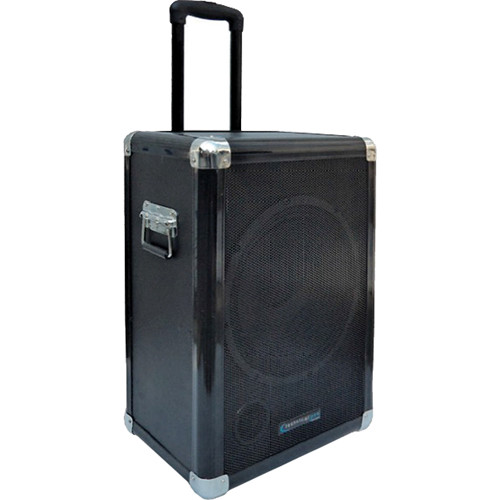 portable subwoofer