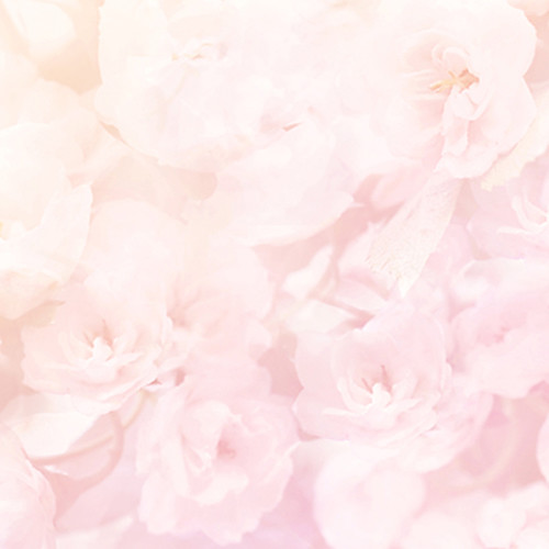 Click Props Backdrops Soft Pink Flowers Backdrop 5 X 5 Bf6