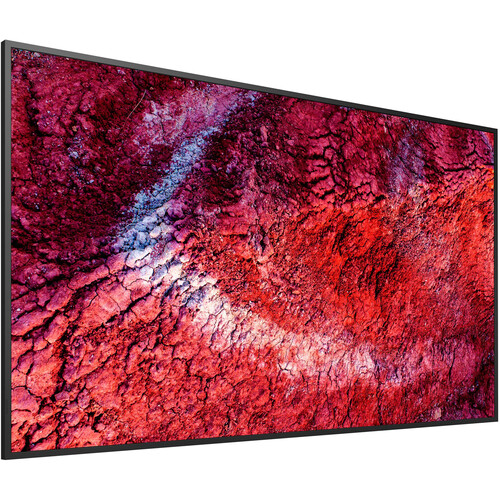 Sony Pro Bravia BZ40P 65" 4K Commercial Monitor