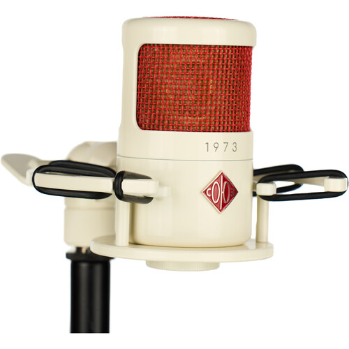 Soyuz Microphones 1973 Deluxe FET Large-Diaphragm Condenser Microphone