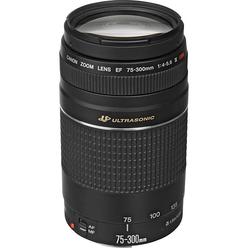 Canon ef 75 300mm f 4 5 6 iii usm lens 6472a002 b h photo video