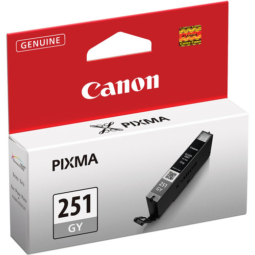 Canon CLI-251GY Standard Capacity Gray I