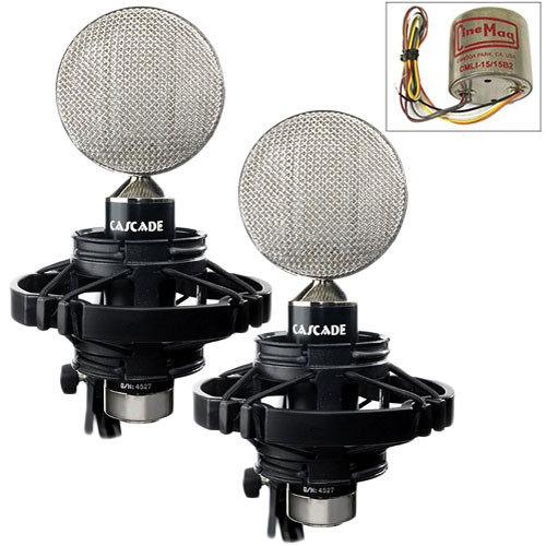 one key to achieving effective vocal variety is one key to achieving effective vocal variety is