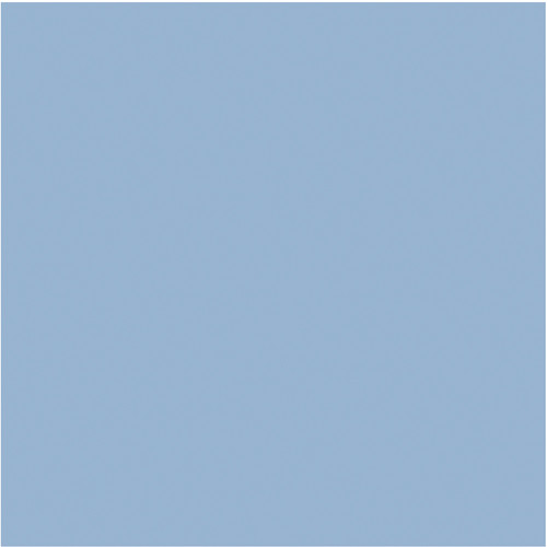 Cool-Lux LC-7001 5600K Filter for Mini Cool