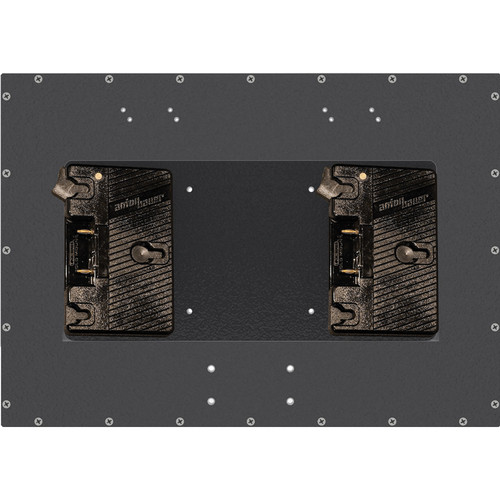 DIT MMR-BM.AB2 Dual Anton Bauer Gold Mount