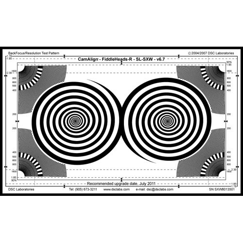 DSC Labs Fiddlehead / BackFocus Super Maxi Focus Pattern & Resolution Chart