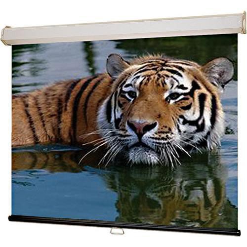 Luma 2 Matte White Manual Projection Screen Viewing Area: 60" H x 60" W