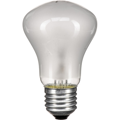 Elinchrom Modeling Lamp for EL250 and EL250C (100W 90V)