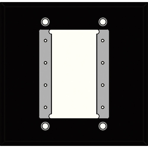 FSR IPS-WP1D-BLK 2 Gang Wall Plate (Black)