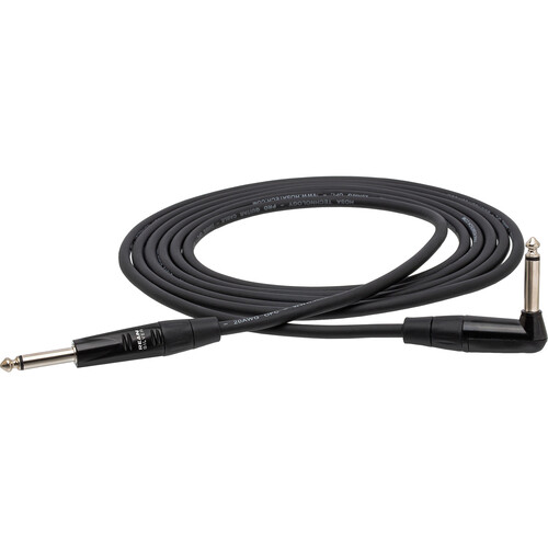 Hosa Technology REAN Straight to Right-Angle Pro Guitar Cable - 10'