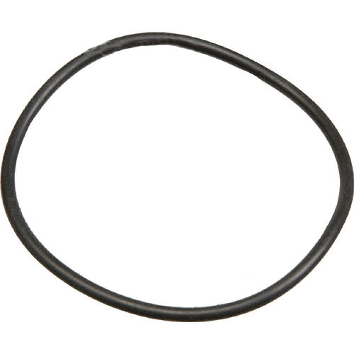 Ikelite O-Ring (Replacement)