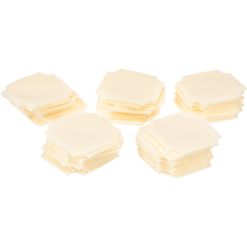 Kinetronics Spare Filters for KSE 250i Film Cleaning Machine (50 Pk)