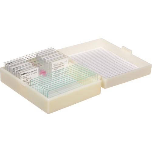 Konus #4911 Biology 2 Slide Set: Normal Human Tissue Part II (10 Slides)