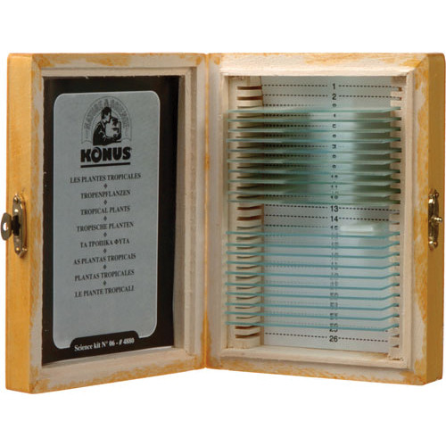 Konus #4964 Slide Set for Teaching Biology Part II (10 Slides)