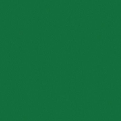 LEE Filters Primary Green Color Effect Filter 48" x 139R