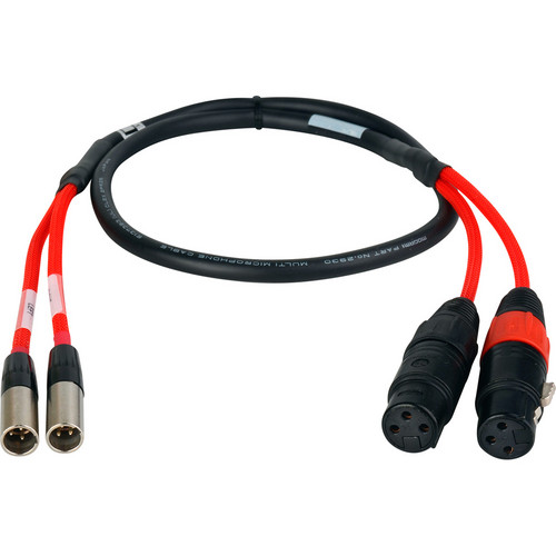 Laird Digital Cinema RD1-2MXM2XF-10 2-Channel Mini XLR Male to XLR Female Red Camera Audio Input Cable 10 ft.