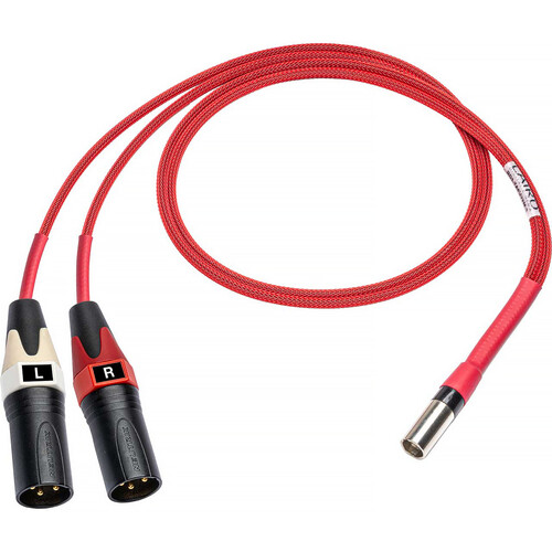 Laird Digital Cinema Line Audio Out Breakout for Red One Camera TA5M to Dual XLR Male - 3 Foot