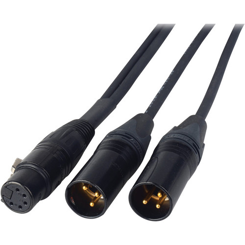 Laird Digital Cinema 5-Pin Female XLR to Dual 3-Pin XLR Male Balanced Line Breakout Cable