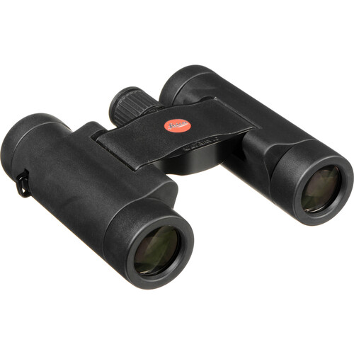 Leica 8x20 Ultravid BR Binocular (Black Rubber)