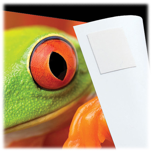 Lineco 533-0030 Infinity Photo Tabs (500 Pack)