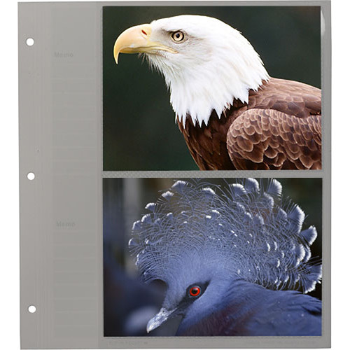 Pioneer Photo Albums Refill Pages for WF-5781 Wedding Album (5 x 7