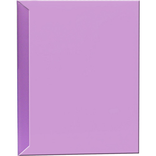 Pioneer Photo Albums CF-2 Space Saver Poly Album (Purple)