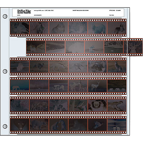 Print File Archival Storage Page for Negatives 35mm - 100 Pack