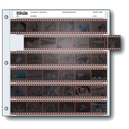 Print File Archival Storage Page for Negatives 35mm - 25 Packs