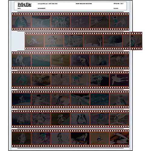 Print File Archival Storage Page for Negatives 35mm - 100 Pack