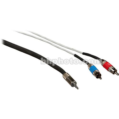 Pro Co Sound Stereo Mini to 2 RCA Male Soundcard Patch Y-Cable - 10'