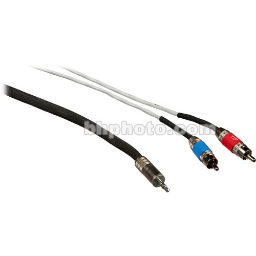 Pro Co Sound Stereo Mini to 2 RCA Male Soundcard Patch Y-Cable - 3'