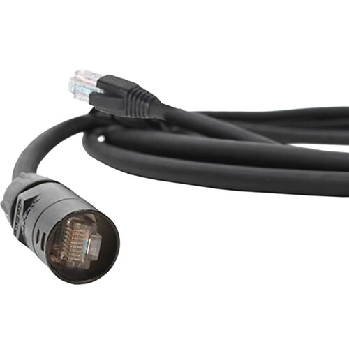 Pro Co Sound ProCat 5 10/100 Base-T Ethernet Cable RJ-45/ EtherCon (100')