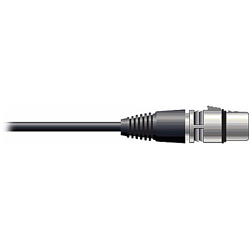 Pro Co Sound RAC Kable - XLR Female to Blunt End Patch Cable - 20'